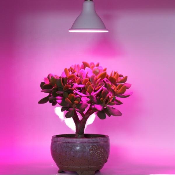 Hot Sale PAR38 LED Grow Light Full Spectrum 12W 15W 18W for Flower Plants & Fruits LED Fill Light