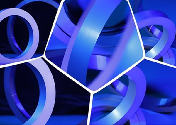 Hip Sintered Tungsten Carbide Mechanical Seal Customize Size