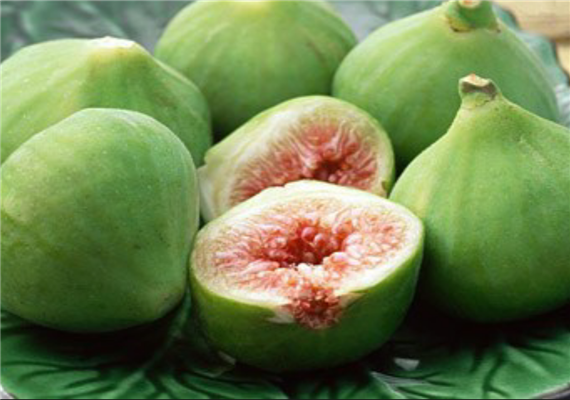 2017 New Product GMP Manufacture Supply Water-soluble Organic Fig Fruit Extract