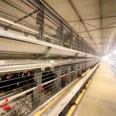 1880mm × 1755mm × 2810mm Wire Breeding Cages Anti Corrosion Surface Treatment