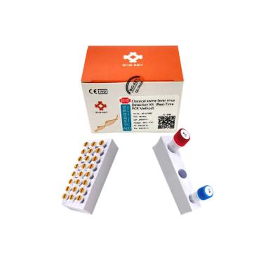Do vírus clássico da febre de suínos de CSFV detecção ácida nucleica Kit Taqman Pcr Kit