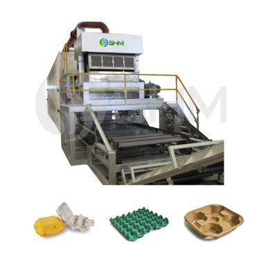 Paper Tray Forming Machine Paper Pulp Packaging Machine