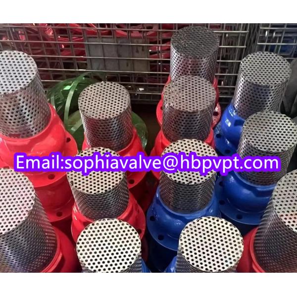 150lb ANSI stainless steel screen cast iron flanged foot valve