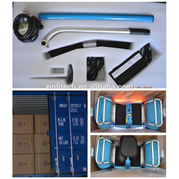 Carbon Foldable Electric Scooter with 350 Watt Brushless Motor , Electric Kick Scooter