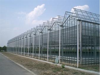 Roof Full Opening Green House