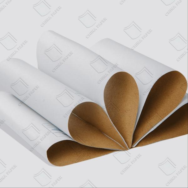 WTL White Top Testliner Top Kraft Liner Paperboard