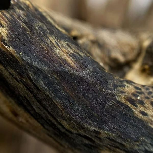 High grade OUD Agarwood resin suitable for crafting exclusive perfumes and therapeutic aromatic products internationally