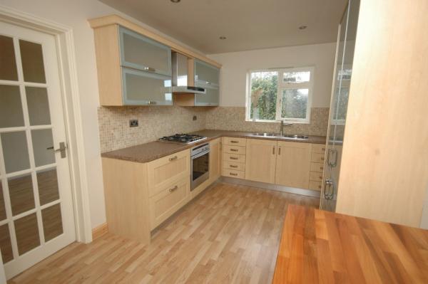 Swing Open Style Aluminium Hinged Doors With Ford Blue Reflective Glass wooden hinged door pivot hinges glass door