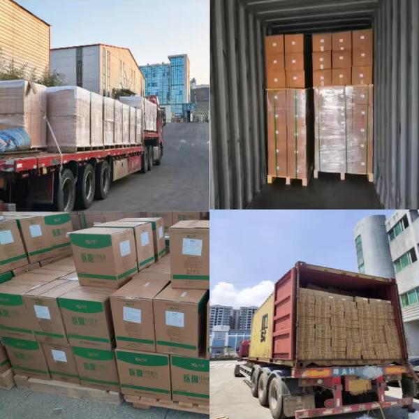 Primero - Clase 125 de micrones - Películas de plástico PET blancas semitransparentes para láser médico - Rayos X para uso médico