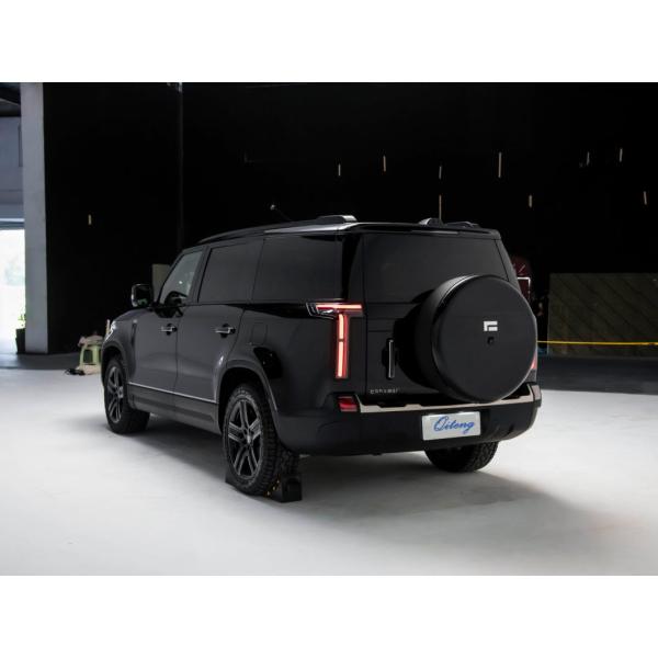 Ji Shi 01 7-Seater Version SUV Professional Service Electric Fuel Type