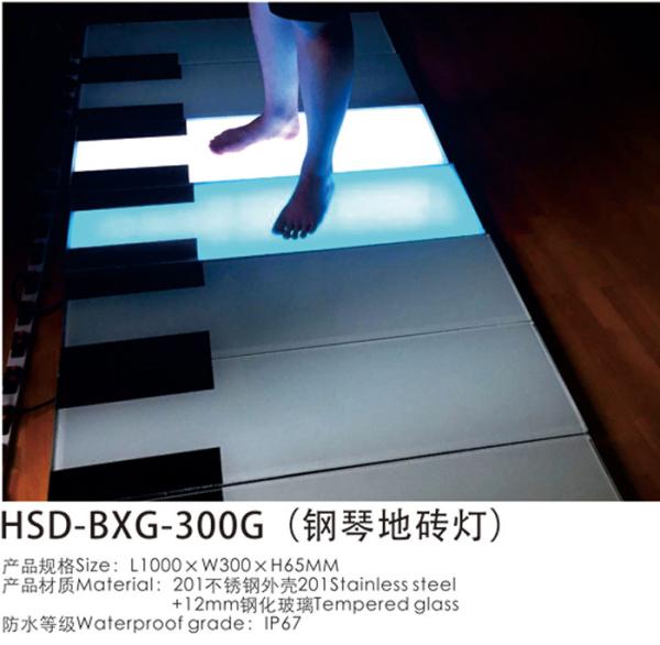 RoHS 24V Stainless Waterproof LED Strip Lights For LED Inground Facade Lights