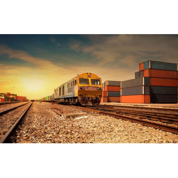 Высокопроизводительное оборудование для убоя курицы халяль с индивидуальной конфигурацией