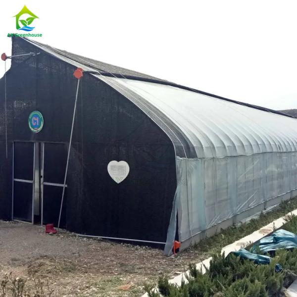 Invernadero de sombreo con película de un solo tramo en diente de sierra para el cultivo de champiñones