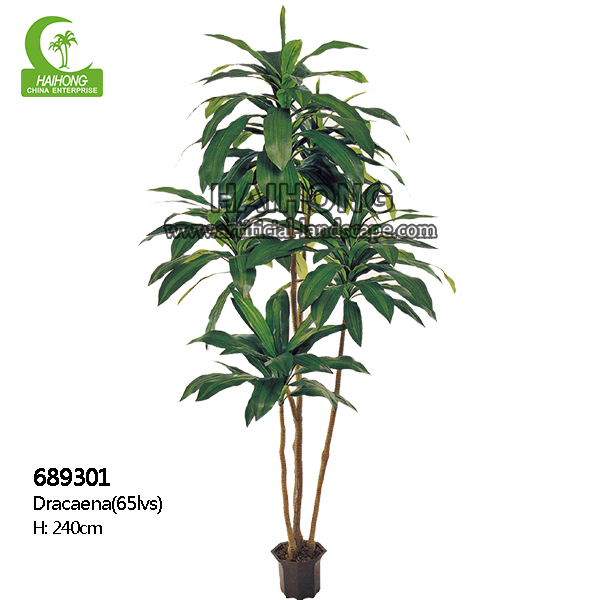 Dracaena имитационных бонзаев высококачественный искусственный с реальными листьями касания для горячей продажи