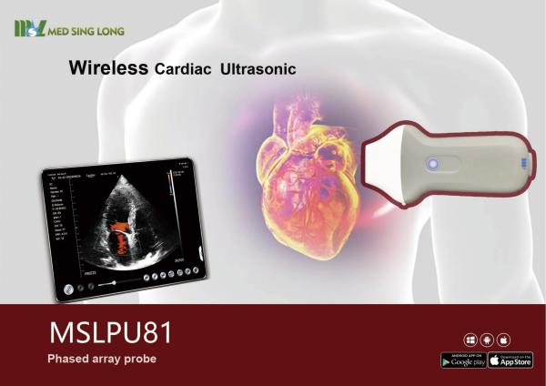Portable Hand Held Used Cheap Phased Array Ultrasound Machine Probe
