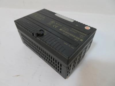 IC200ALG320 GE Modulo de entrada analógica 250 mm comprimento líquido