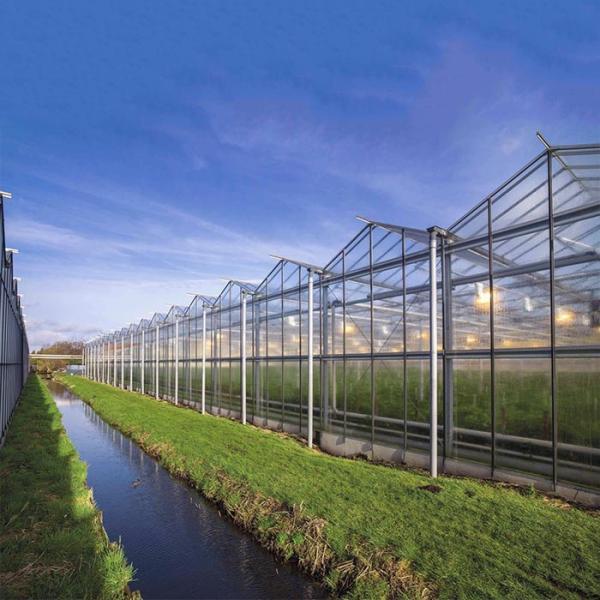 Système solaire monté par toit de serre chaude pour des terres cultivables
