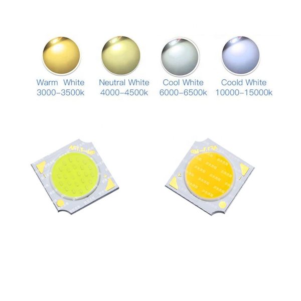 LED Flood Light White Color 3000K/4000K/6000K High Power 10W/15W COB LED Dimmable 120 Viewing Angle 3-Year Warranty