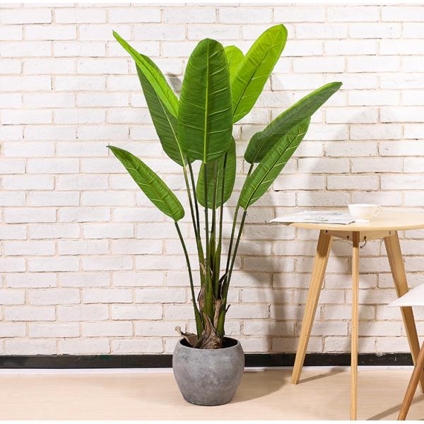 Вечнозелёное растение больших листьев искусственное покидает заводы пола Japonica