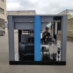Oil free screw air compressors