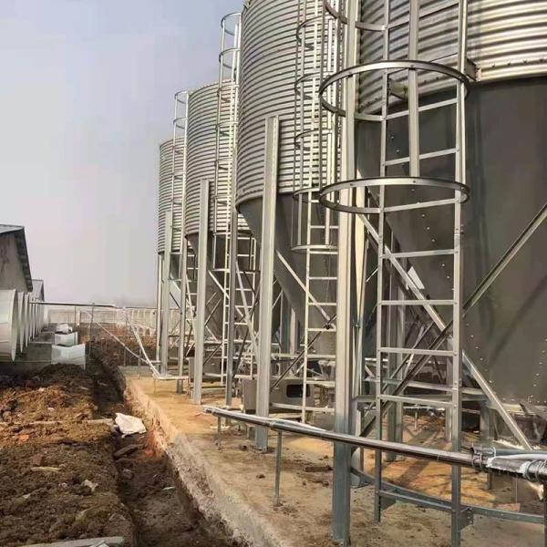 O silo da casa das aves domésticas do porco alimenta a escaninho 40 o diâmetro do telhado 1830mm 3660mm do grau