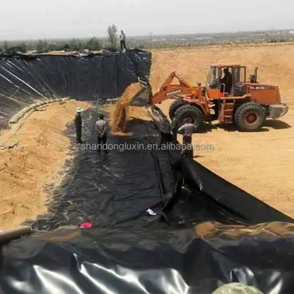 Double Texture/Double Smooth HDPE Geomembrane Industrial Design Style Fish Tank Liner