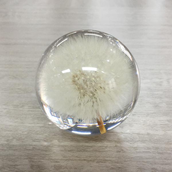 Высушенный логотип стиля природы шарика 80mm пресс-папье цветка подгонял