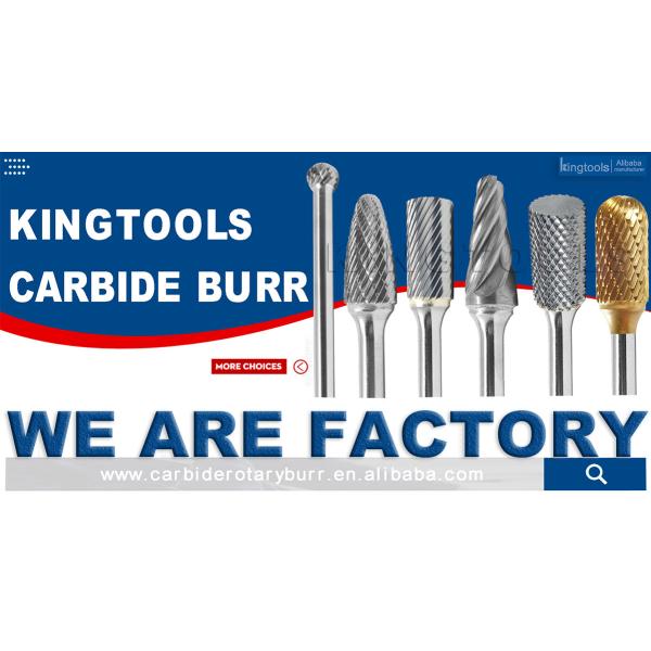 10pcs Carburo de tungsteno Burr Set 6mm 1/4 de la base doble corte para madera de metal