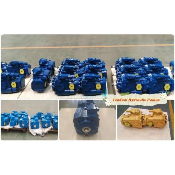 Hydraulic tandem pump customization Highly Durable Combine Harvester Hydraulic Tandem Pump