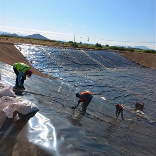 Anti Seepage HDPE Geo Membrane High Density Polyethylene Film For Artificial Lake Fish Pond