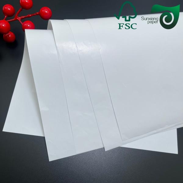 Biodegradable 160um 200um White Cardboard For Advertisement Tear Resistance