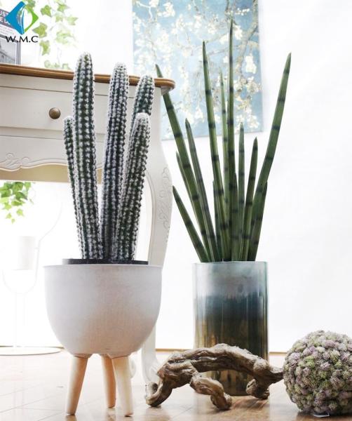 Garden Decoration Artificial Potted Plants , Desert Tropical Cactus Plant Pot