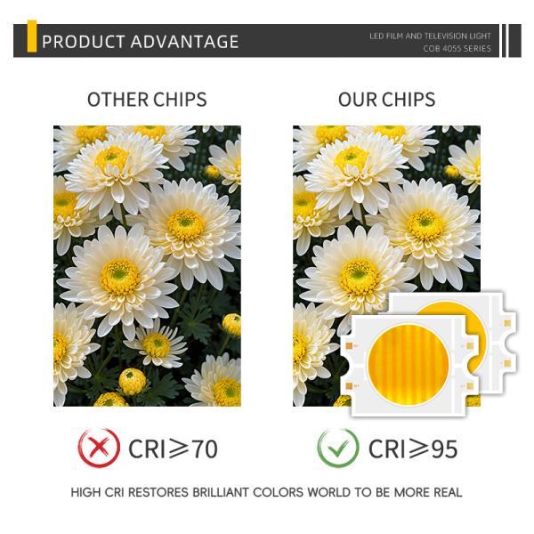 Dual CCT 2700K+6500k Bi-color Warm+Cool White CRI 70 80 90 95 High Power 100W 200W 300W COB LED Chip Bicolor