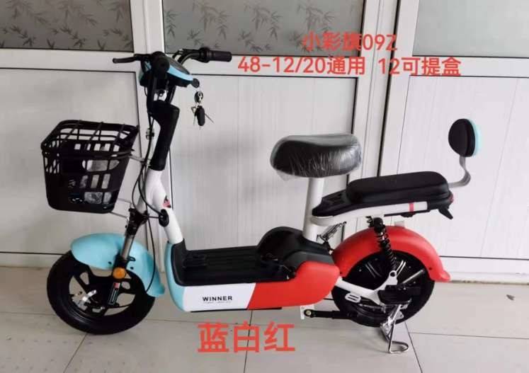 2 скутер 2 колес электрический колеса 14 дюймов для взрослых 48v 500w 12Ah