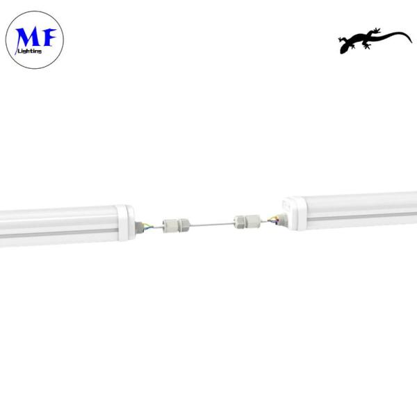 IP66 54W 5 anos de garantia Instalação fácil Luz LED Tri-proof Para supermercado de armazém
