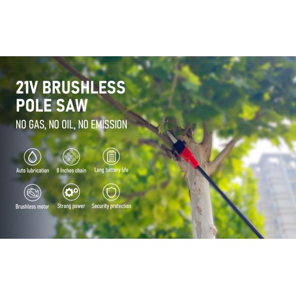 180-300 см Телескопическая протяженность Легкая батарейная пила с расширением