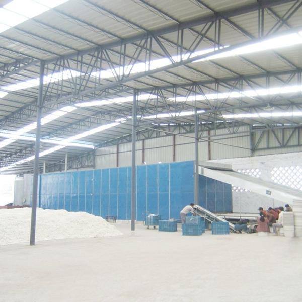 SGS Mesh Belt Dryer Machine Rustproof