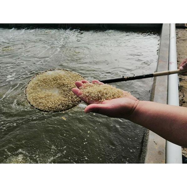 Fishmeal Flavor Poultry Feed Additives Products Good Application Effect