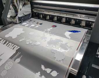 Hot Peel 30*100cm DTF Film Roll PET Film for All DTF Printers Like for Epson I3200 L1800 DX5 Printers