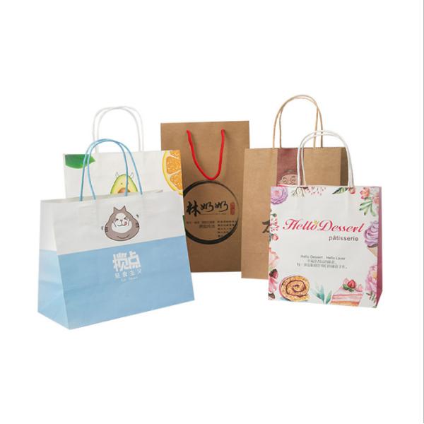 Custom Logo Paper Carrying Shopping Bags For Gift Clothes Packaging