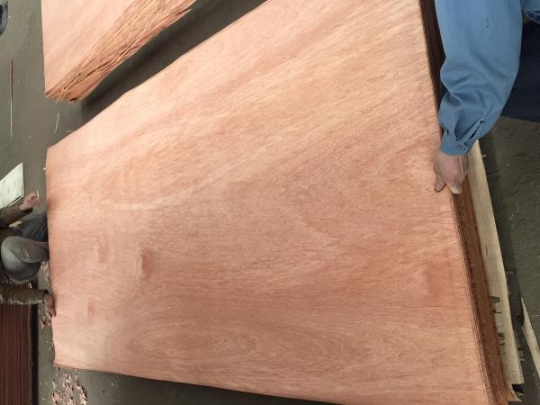 Bintangor veneer