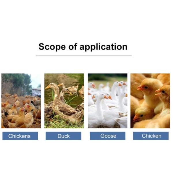 Фидер воды пьяниц 15KG воды птицы HDPE автоматический для цыплят