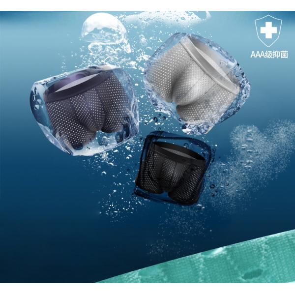 Anti-Bacterial Plus Size Boxer Shorts  Ice Silk Men'S Polyester Spandex Boxer Briefs