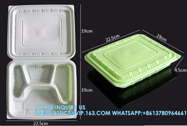 Factory Direct Sales Takeaway Food Packaging And Storage Containers Disposable Plastic Food Bento Lunch Boxes