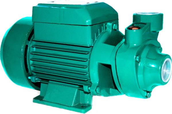 bomba de agua potável doméstica de 0.75HP 0.55KW para a associação que bombeia/polvilhar do jardim