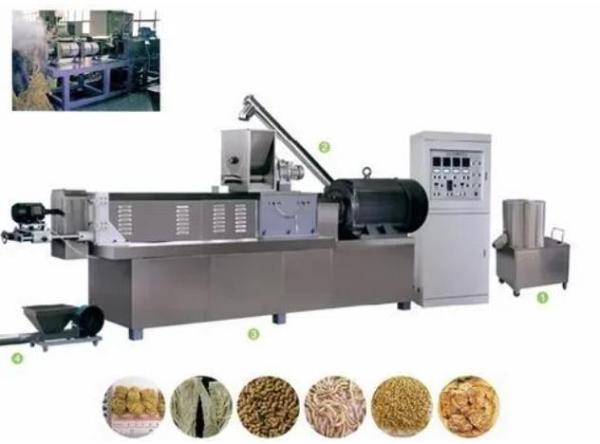 Boudineuse à vis/machine jumelles extrudeuse du soja avec une garantie d'an