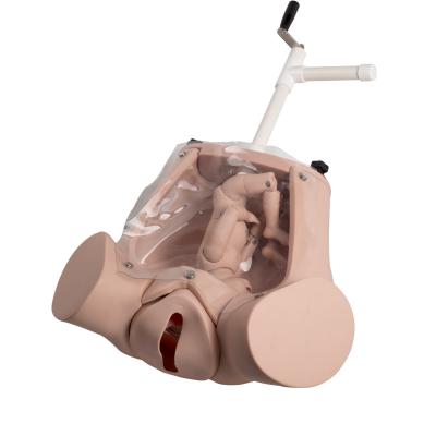 Medical Delivery Realistic Childbirth Simulator Childbirth Education Models