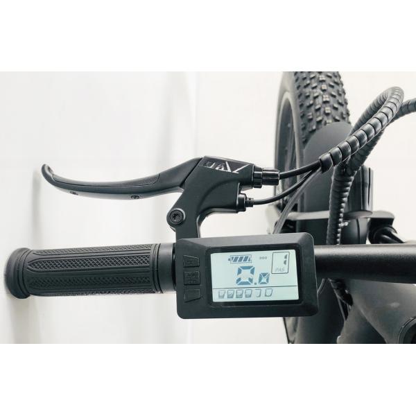 26 inch PAS 750W 1000W 48V Lithium Battery Fat Tire Mountain Electric Bike for Adult Men