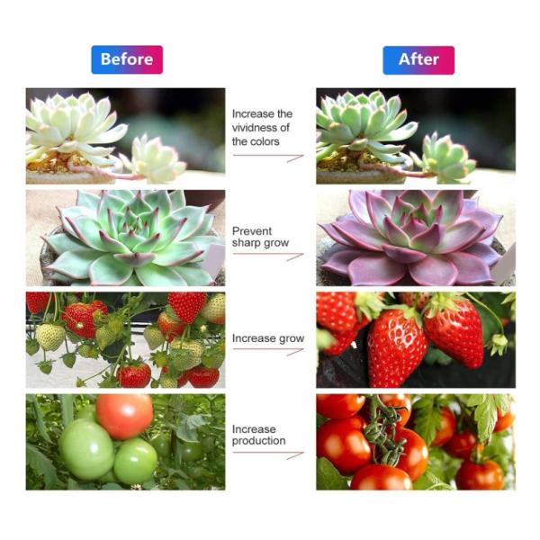 LED Grow Light Strips,Waterproof Full Spectrum Plant Grow Light, USB 16ft 300LEDs