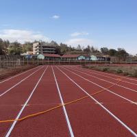 Rustproof Outdoor Court Surfaces EPDM Playground Rubber Granules Running Track